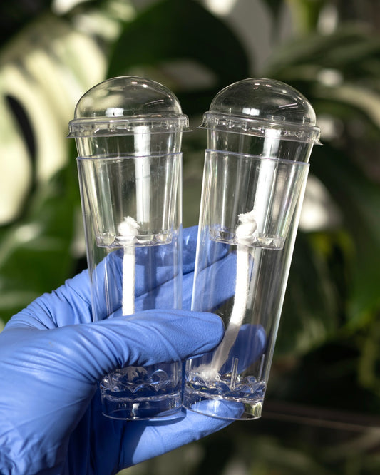 Hand holding two Pro self-watering propagation cups to show 13cm height and size relative to hand.