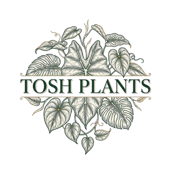 TOSHPLANTS