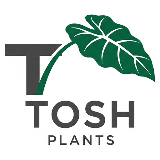 TOSHPLANTS