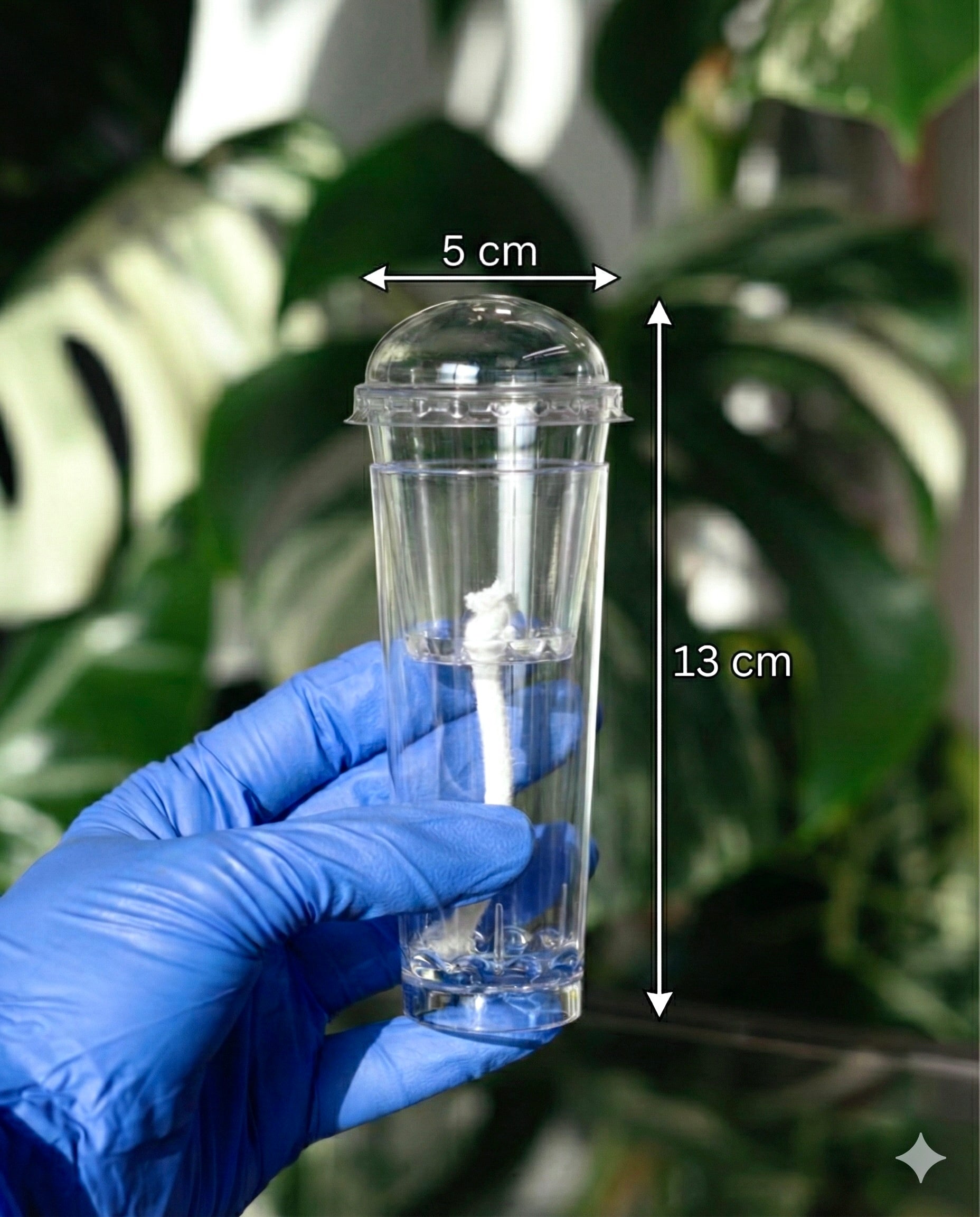 Pro self-watering propagation cup held in hand with text overlay showing exact dimensions: 13 cm tall and 5 cm wide.
