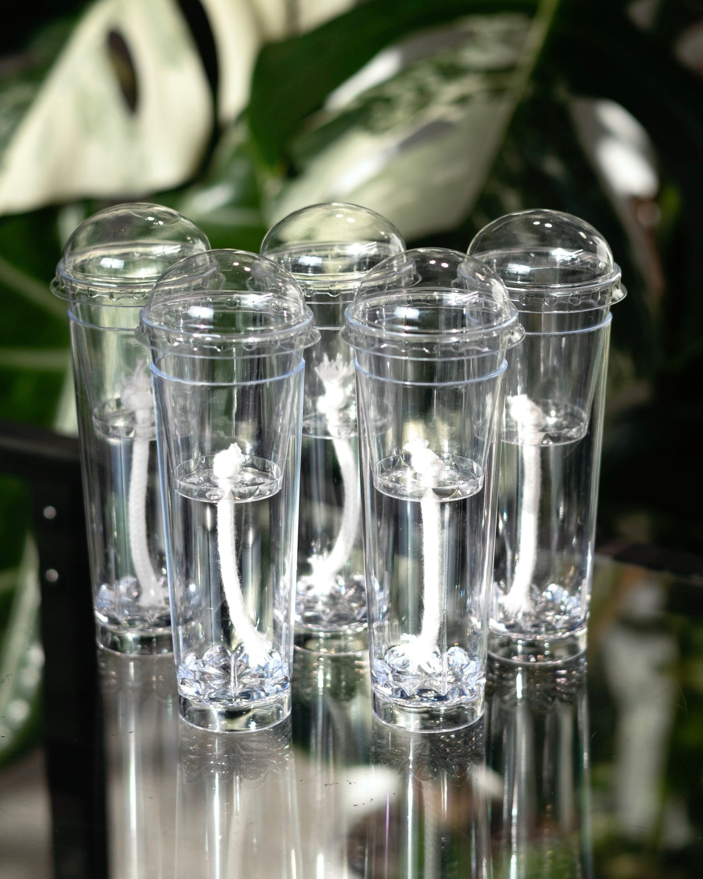 Group of Pro self-watering propagation cups with humidity domes and wicks, designed for Alocasia corms and deep root growth.