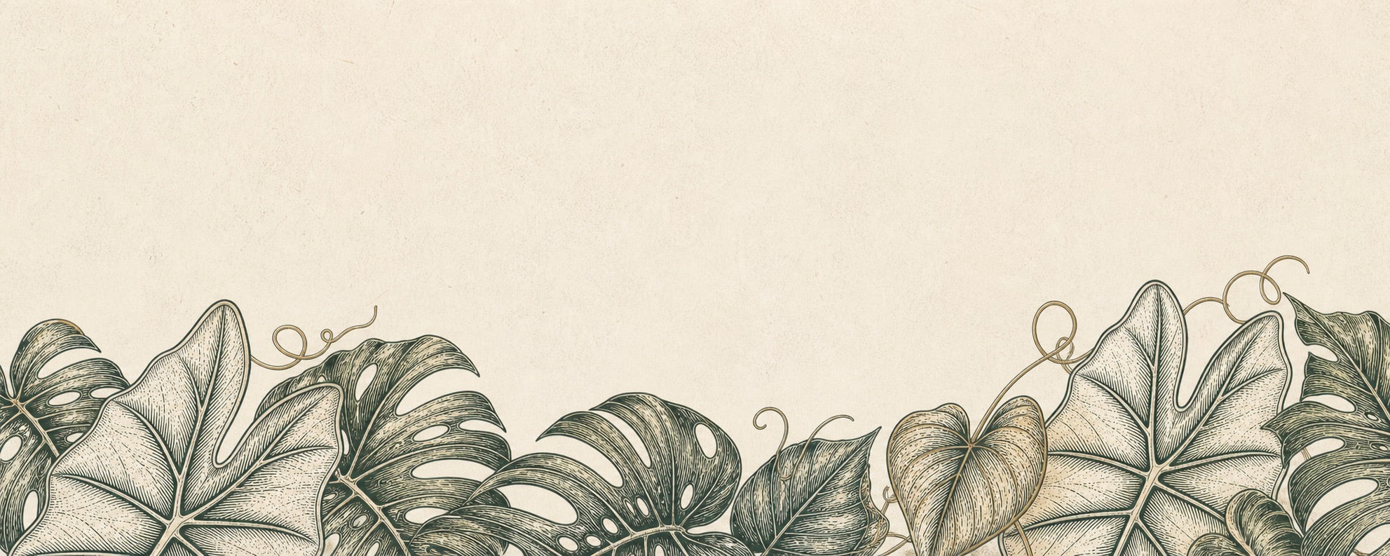 Engraved Alocasia, Monstera and Philodendron leaves rising from the bottom edge of warm ivory paper.