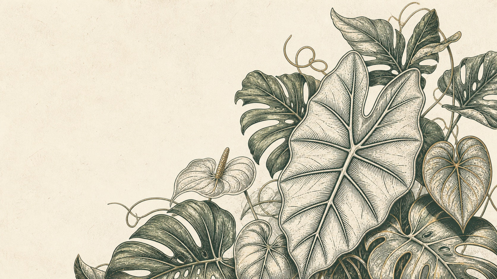 Engraved Alocasia, Monstera, Anthurium and Philodendron leaves arranged on warm ivory paper with open space for homepage text.